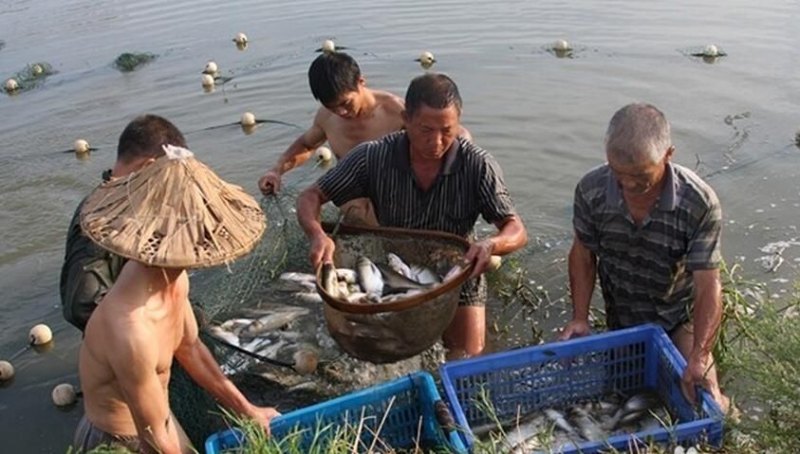 捕鱼的几种神奇绝密方法(钓鱼其实很讲究：钓场、渔具、钓技、气候等等)-第5张图片-拓城游