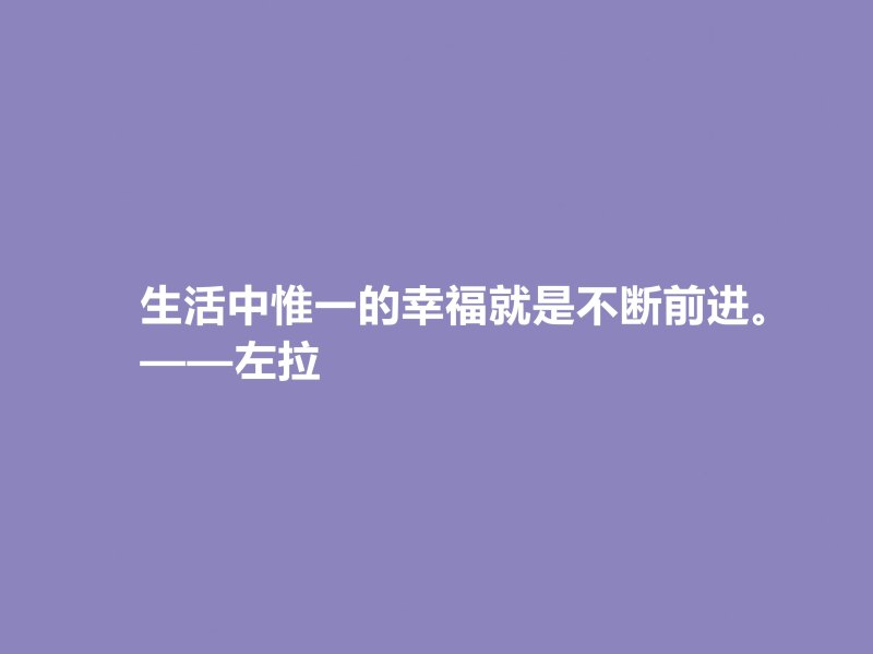 法国自然主义小说家——爱弥尔·左拉的文学艺术之路(左拉的作品特点与评价)-第5张图片-拓城游