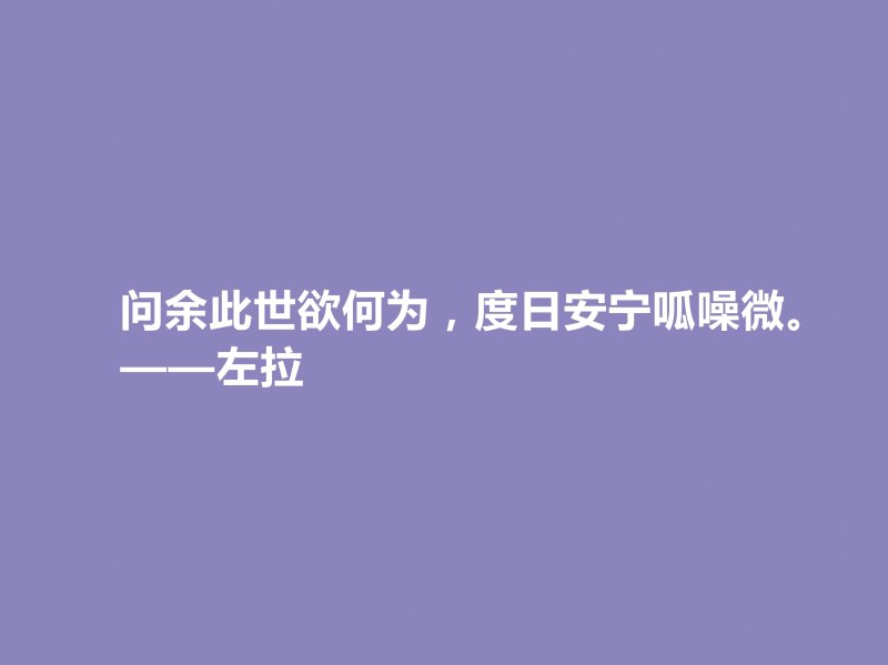 法国自然主义小说家——爱弥尔·左拉的文学艺术之路(左拉的作品特点与评价)-第6张图片-拓城游