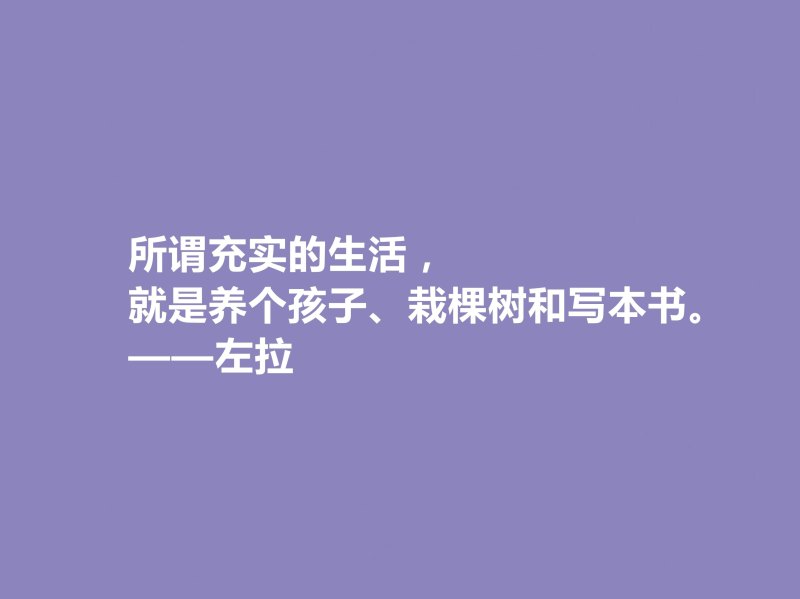 法国自然主义小说家——爱弥尔·左拉的文学艺术之路(左拉的作品特点与评价)-第8张图片-拓城游