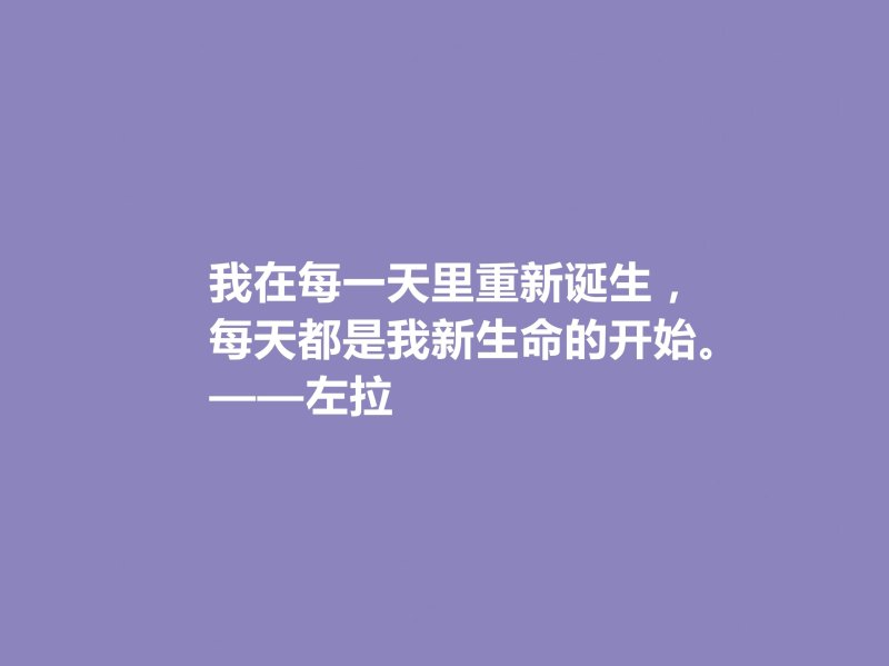 法国自然主义小说家——爱弥尔·左拉的文学艺术之路(左拉的作品特点与评价)-第9张图片-拓城游