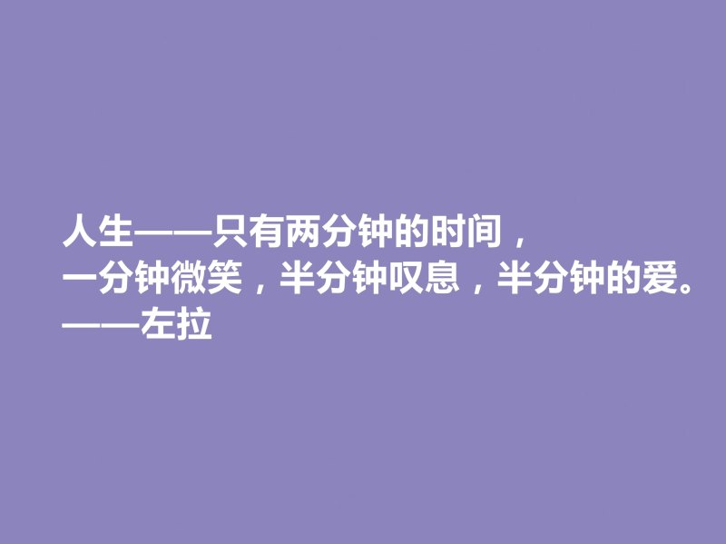 法国自然主义小说家——爱弥尔·左拉的文学艺术之路(左拉的作品特点与评价)-第11张图片-拓城游