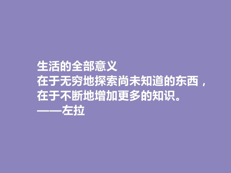 法国自然主义小说家——爱弥尔·左拉的文学艺术之路(左拉的作品特点与评价)-第12张图片-拓城游