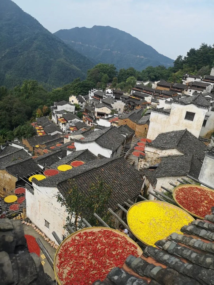 江西在五一出游GDP居首位(江西旅游市场潜力被低估)-第23张图片-拓城游