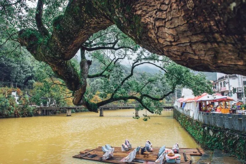 江西在五一出游GDP居首位(江西旅游市场潜力被低估)-第35张图片-拓城游