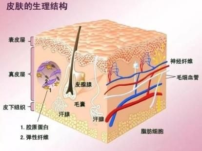 早c晚a指的是什么？解析上海市皮肤病医院医学美容科最近接诊的早C晚A患者的症状-第3张图片-拓城游