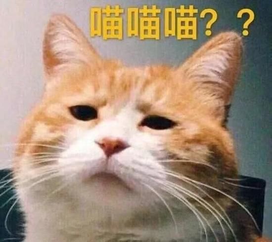 "猫爪杯：星巴克的另一营销神话引发猫咪经济热潮"-第3张图片-拓城游