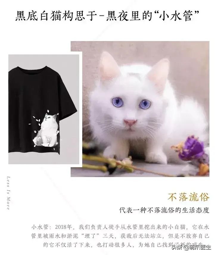 猫咪后院为什么下架了（准备养猫吗？教你如何辨别后院猫）-第19张图片-拓城游