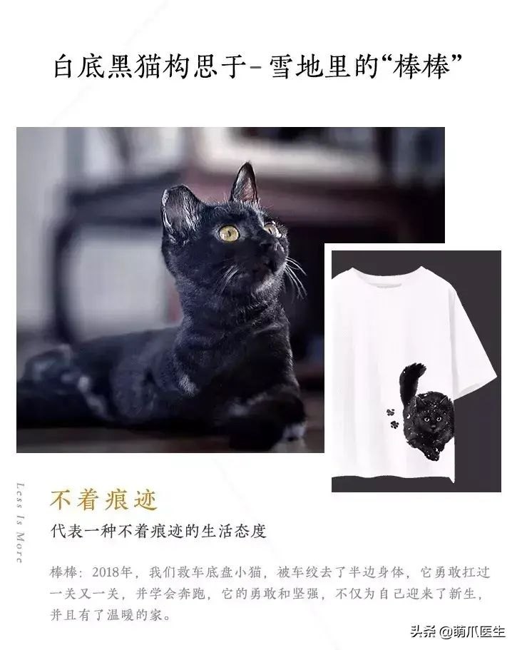 猫咪后院为什么下架了（准备养猫吗？教你如何辨别后院猫）-第18张图片-拓城游