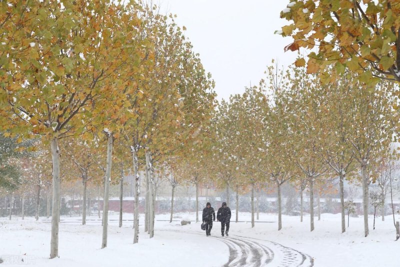 煮饭不息是什么意思（农村谚语“大雪小雪，煮饭不歇”）-第2张图片-拓城游